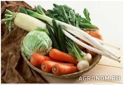 . Особенности питания овощных культур - фотография №1
