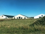 . Комплекс молочно-товарной фермы на разбор - фотография №3