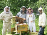 Мёд, пчелы, пчелопродукция. Наблюдения пчеловодов 