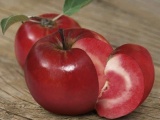 Овощи, Фрукты, Ягоды. Сорта яблонь 