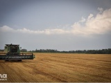 Зерно, зернобобовые. В Ставропольском крае собран первый миллион тонн зерна нового урожая 
