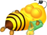 Мёд, пчелы, пчелопродукция. Азбука Пчеловода. Введение 