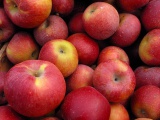 Услуги. На Кубани собрано 20 тыс. тонн плодов и ягод 
