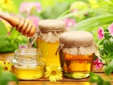 Мёд, пчелы, пчелопродукция. Как выбрать мёд 