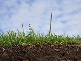 Земля, недвижимость, агротуризм. Что такое почва, типы почвы. 