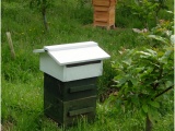 Мёд, пчелы, пчелопродукция. Матка пчелы 