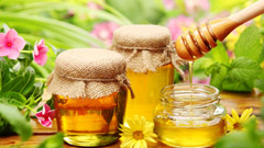 Мёд полевого разнотравья